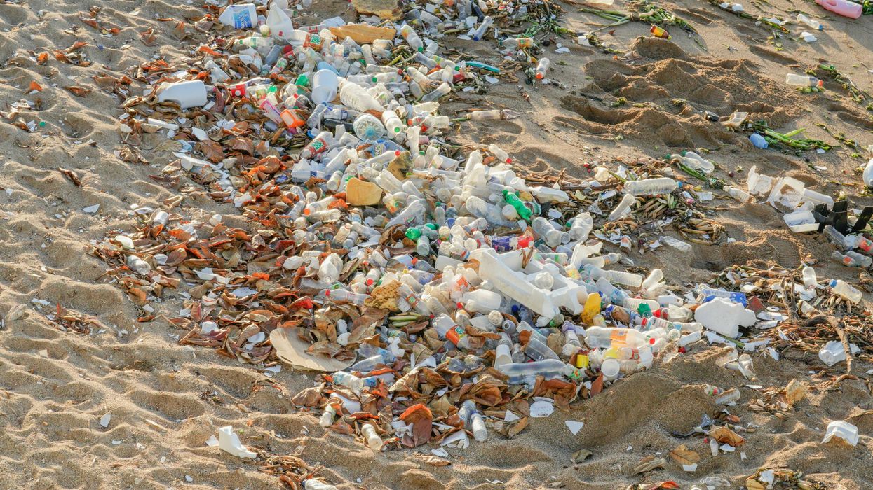 A beach covered in piles of plastic bottles and debris
