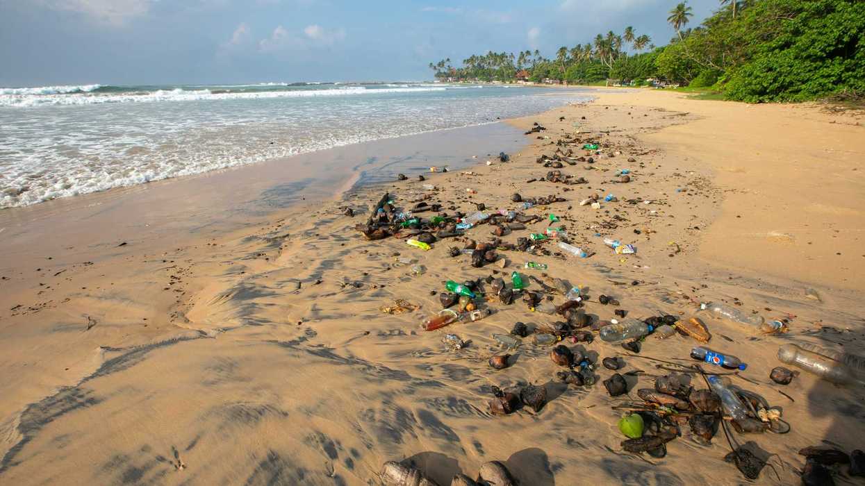 a beach with a lot of plastic trash on it.
