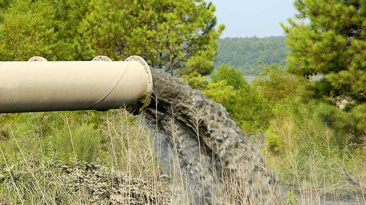 A beige pipe emitting polluted water into a stream