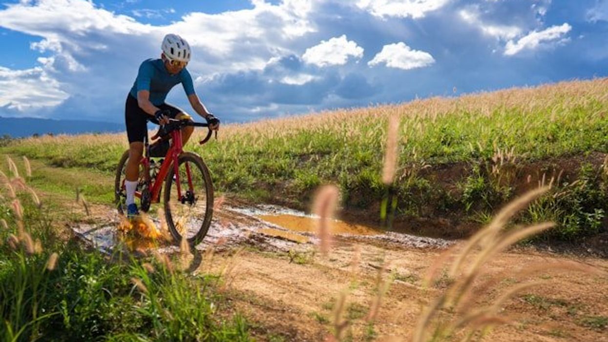 A bike rider on a dirt path between corn fields.