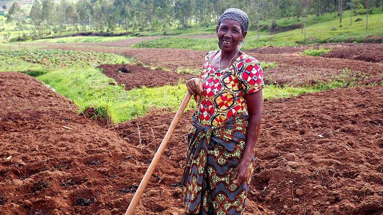A black woman farmer standing in her fields in Rwanda