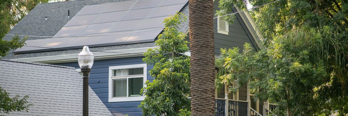 A blue house surrounded by trees and plants.
