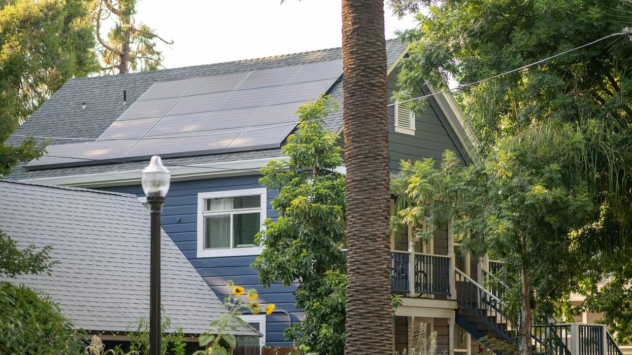 A blue house surrounded by trees and plants.