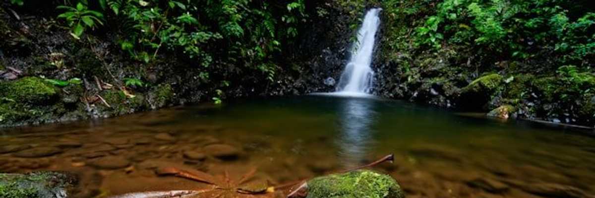 A body of water in the rainforest with a waterfall