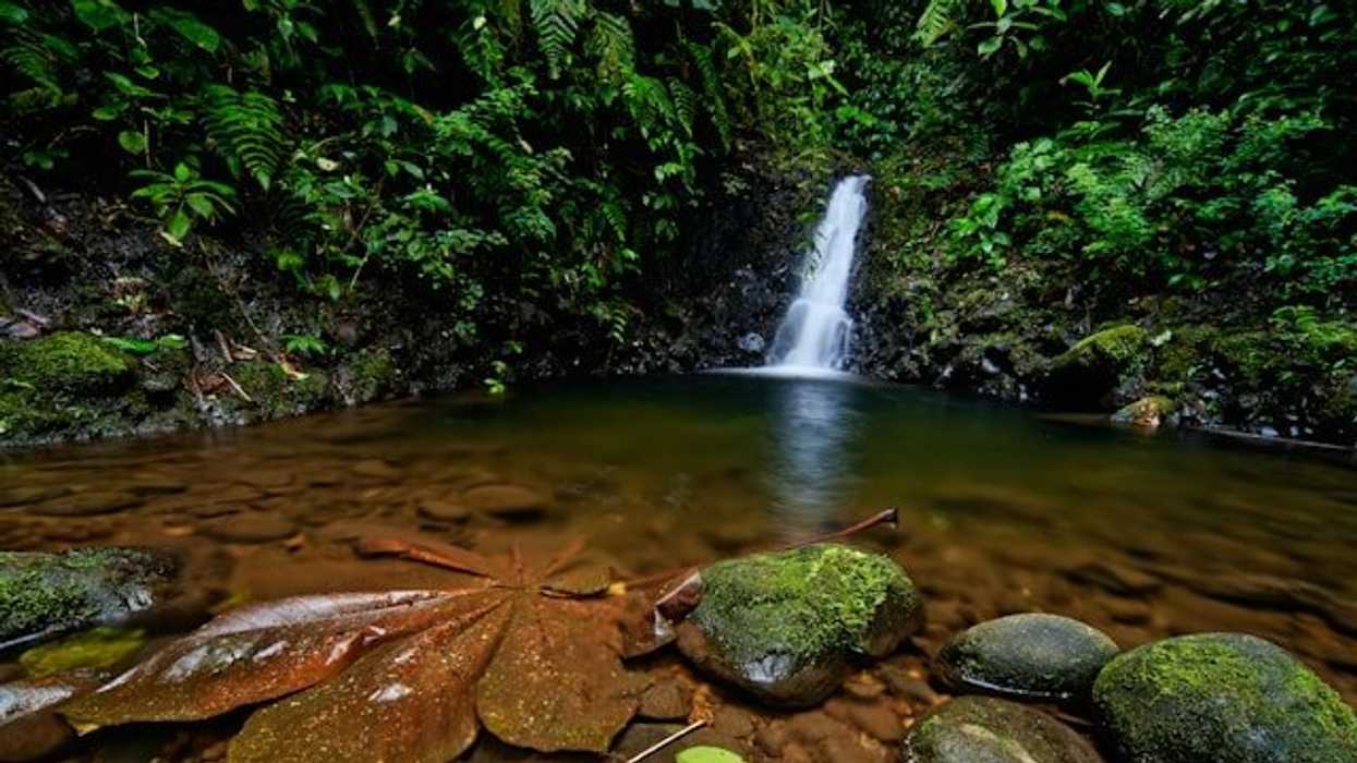 A body of water in the rainforest with a waterfall