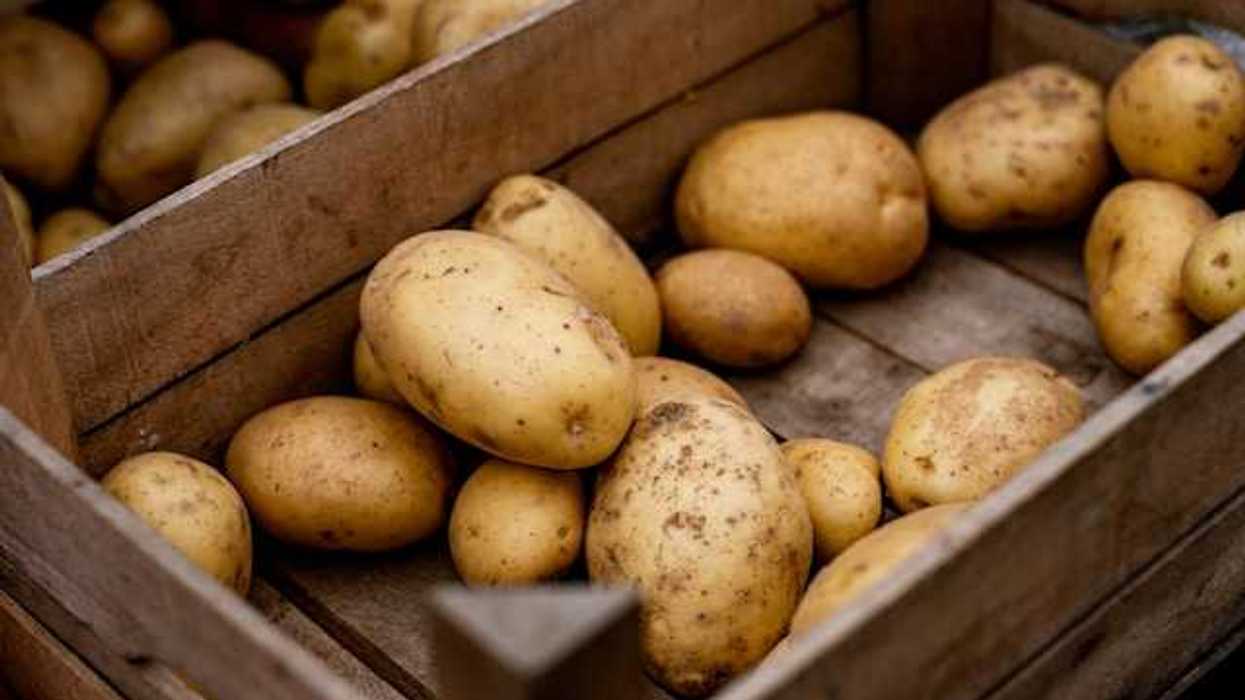 A box full of potatoes