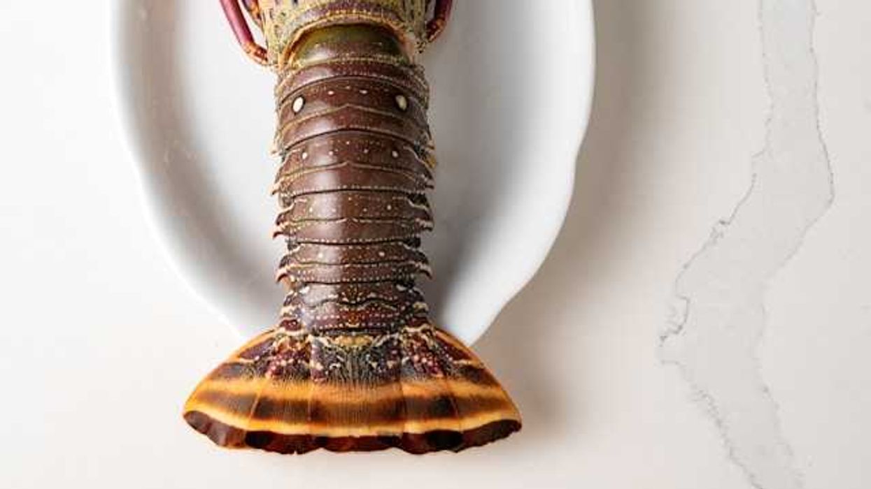 A brown lobster tail on a plate