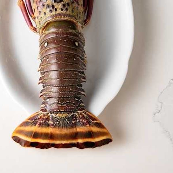 A brown lobster tail on a plate