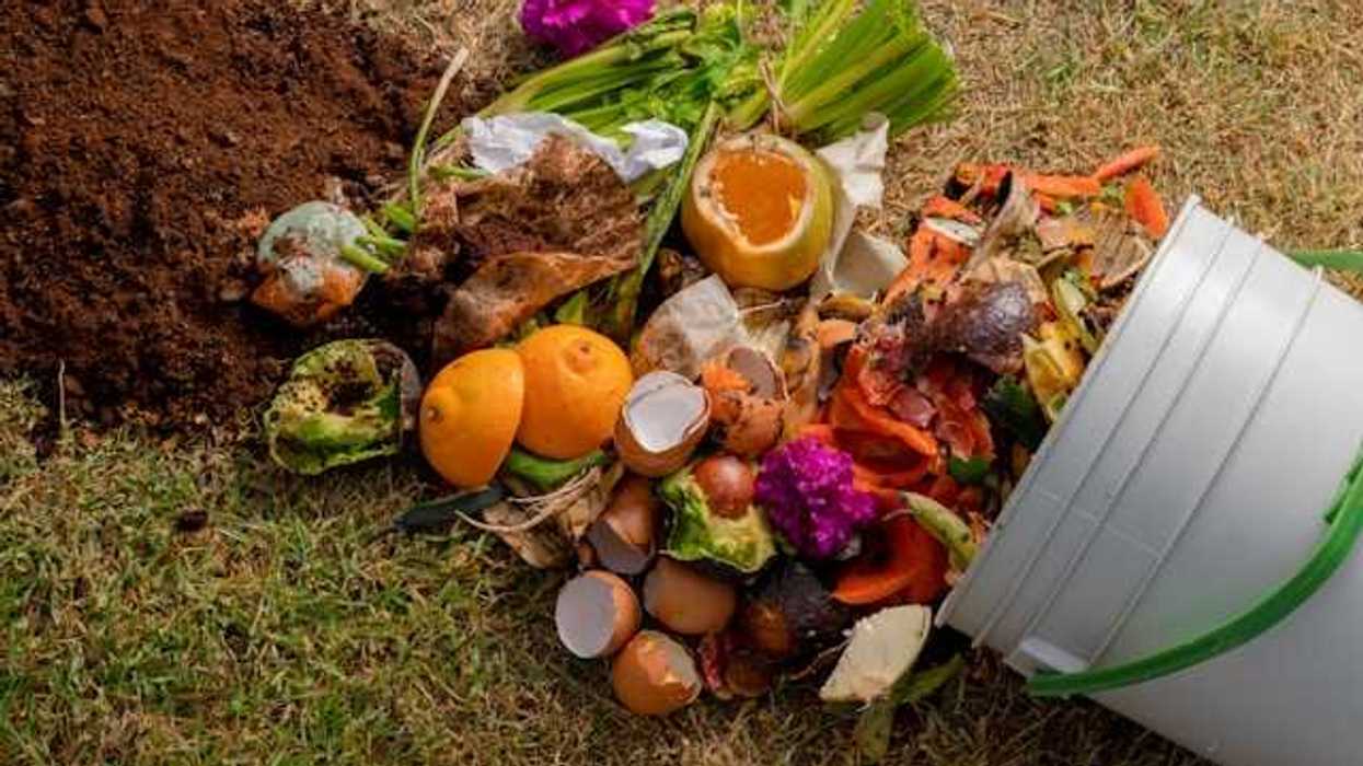A bucket with food waste overturned on the ground