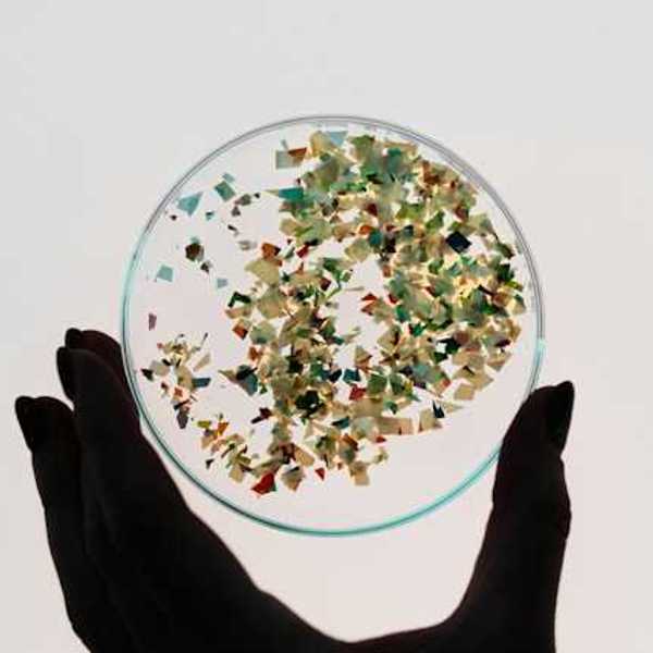 A bunch of small plastic pieces in a petrie dish