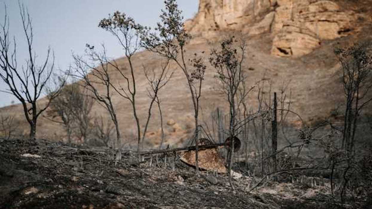 A burned area of ground with a dry mountain in the background