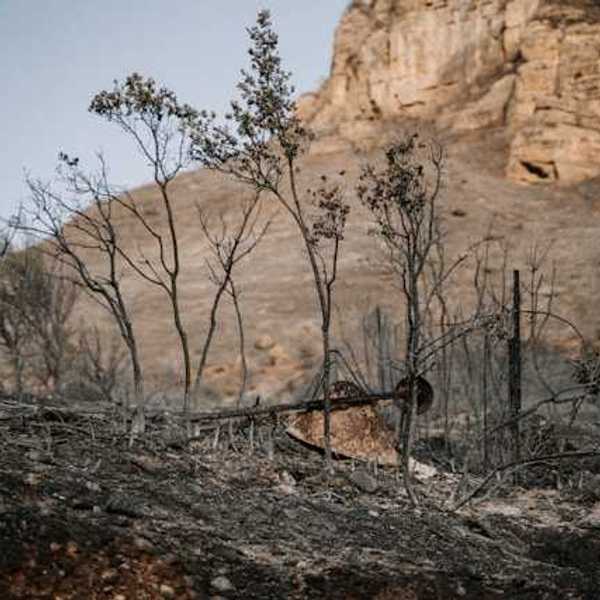 A burned area of ground with a dry mountain in the background