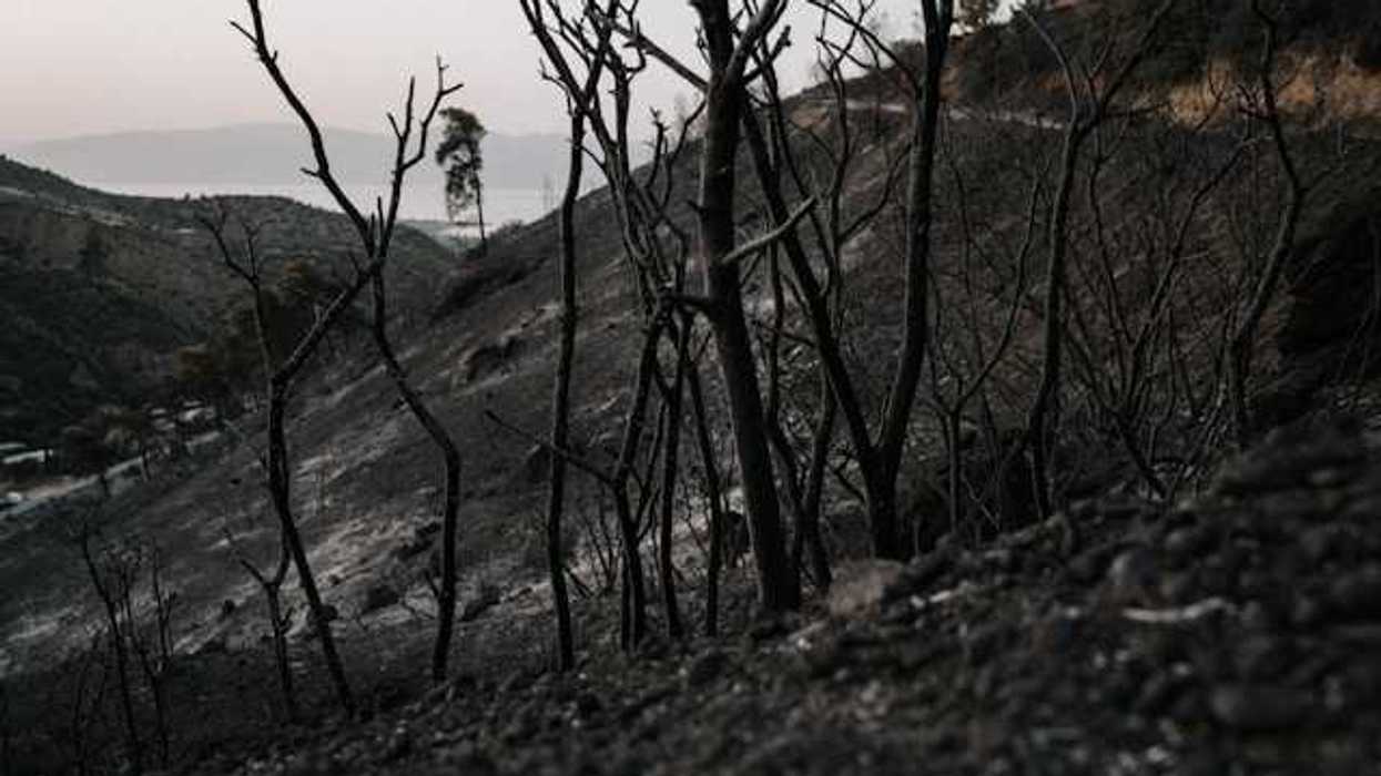 A burned landscape with blackened soil
