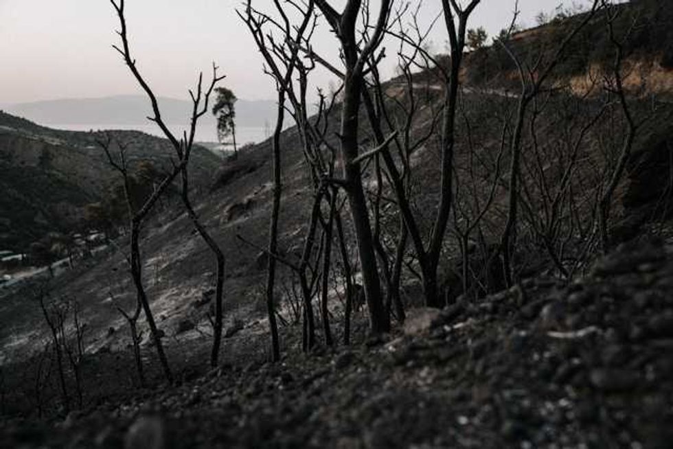Wildfires make soil poisonous