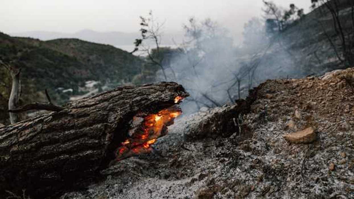 A burning tree trunk laying on ash with smoke behind it