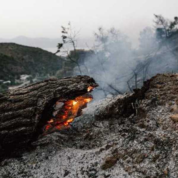 A burning tree trunk laying on ash with smoke behind it