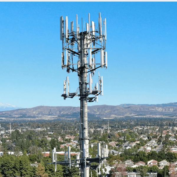 Study links cell tower and cell phone radiation to changes in blood cells tied to immune health
