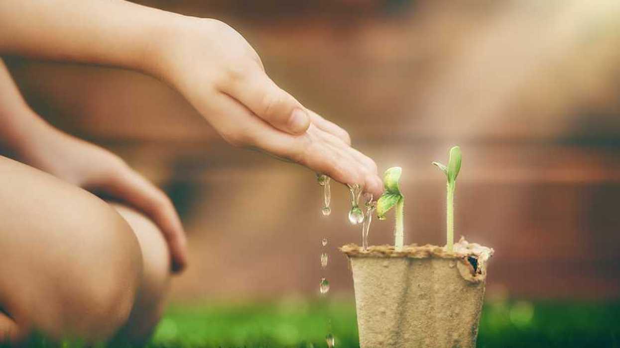 A child sitting in front of a small pot with green shoots in it