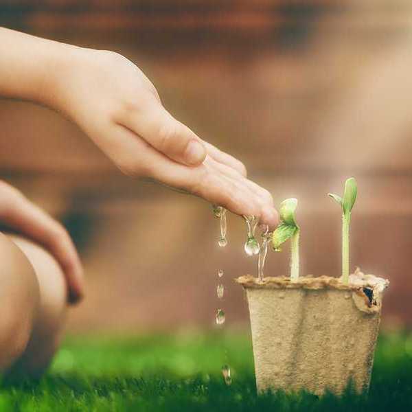 A child sitting in front of a small pot with green shoots in it
