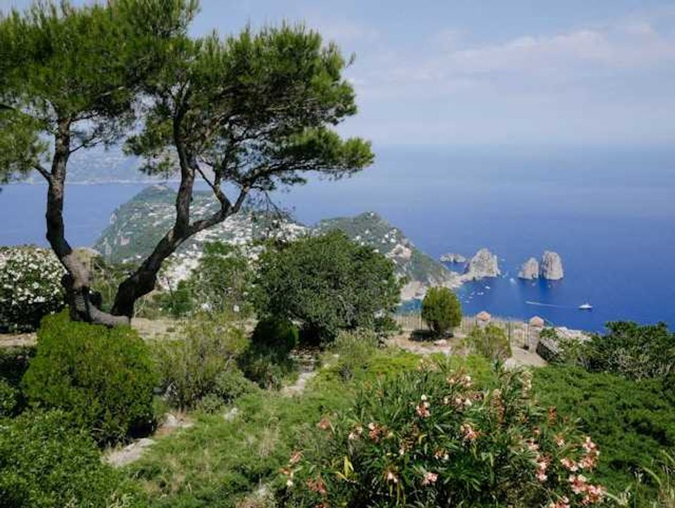 How is the Mediterranean changing? 40 years of data reveal climate change impact