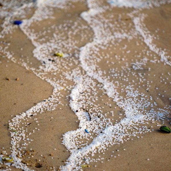 a close up of a beach with white plastic nurdles along the sand.