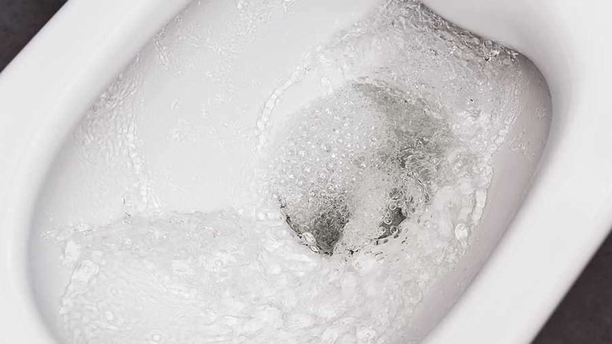A close up of a bidet bowl with water in it