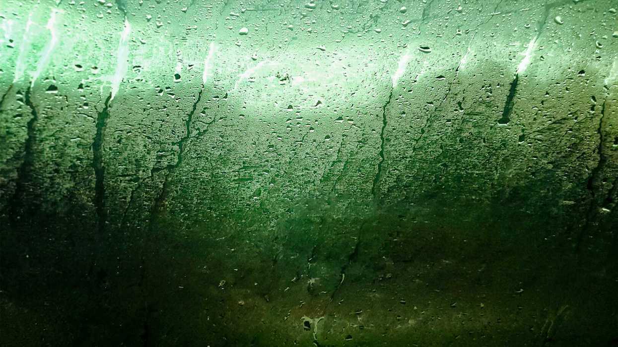 a close up of a humid window sweating with blurred green landscape outside.
