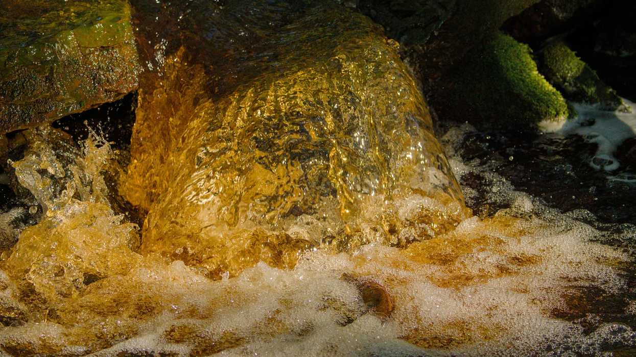 a close up of a yellow substance in a body of water.