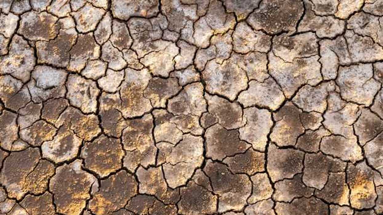 A close up of cracked surface on the earth