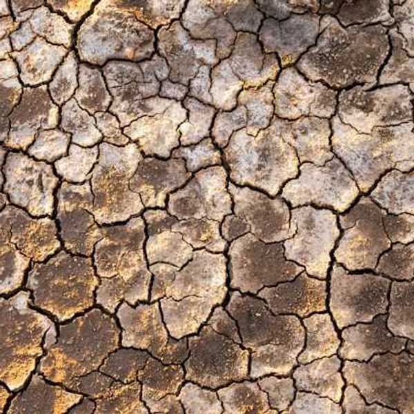 A close up of cracked surface on the earth