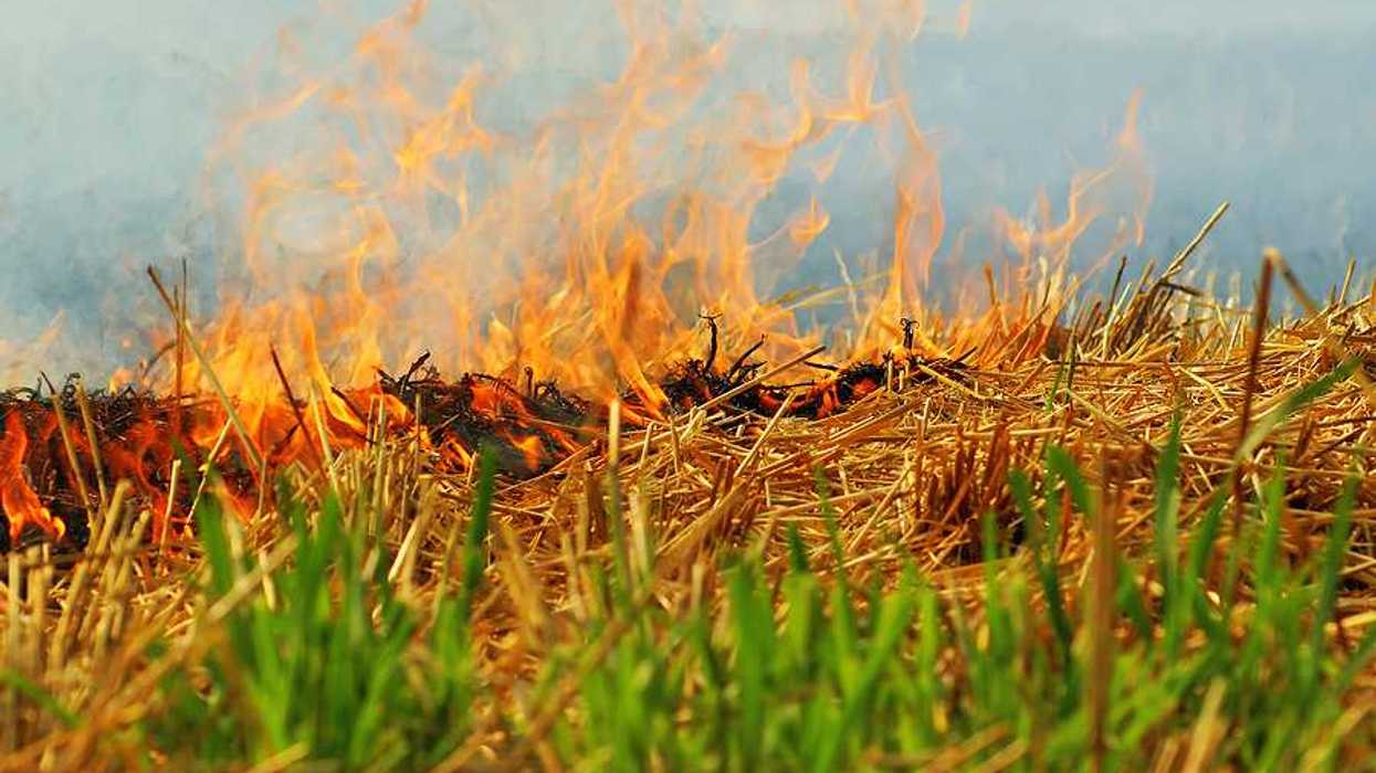A closeup of a burning farm field