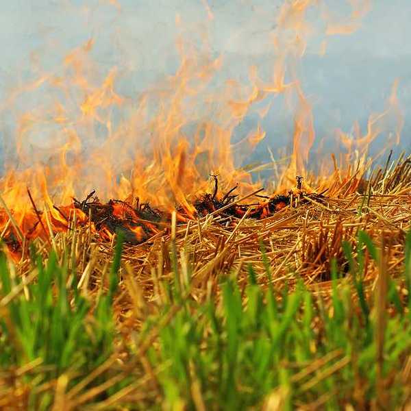 A closeup of a burning farm field