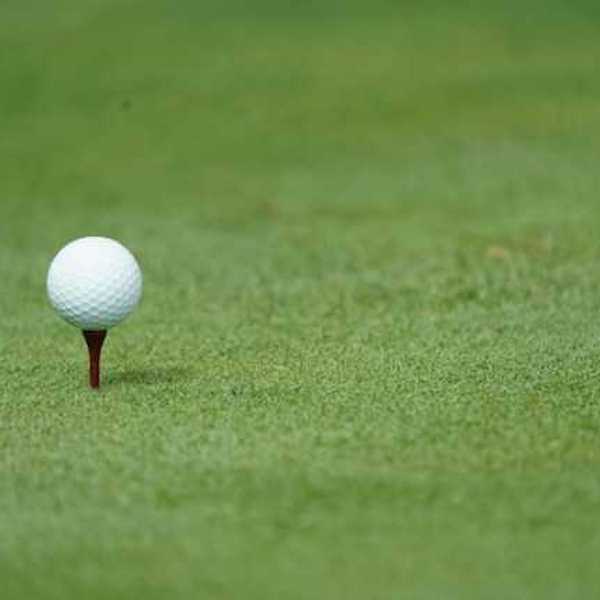 A closeup of a golf course green with a white golf ball on a tee