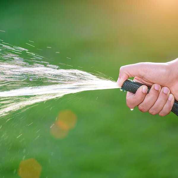 A closeup of a person holding a water hose spraying water on a lawn