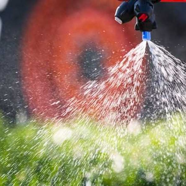 How California rules affect city pesticide use near schools