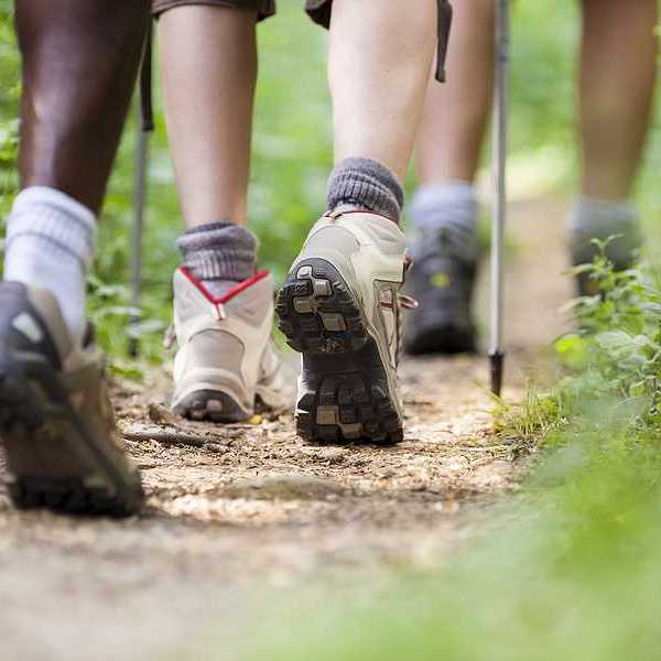 A closeup of hikers' feet on a trail