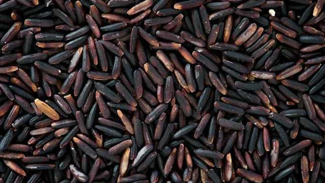 A closeup of of dark wild rice grains