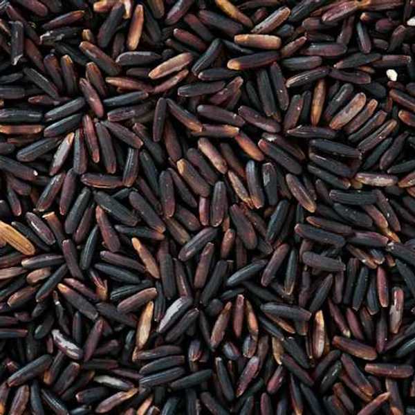 A closeup of of dark wild rice grains