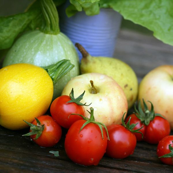 A collection of tomatoes, apples and squash on a wooden surface