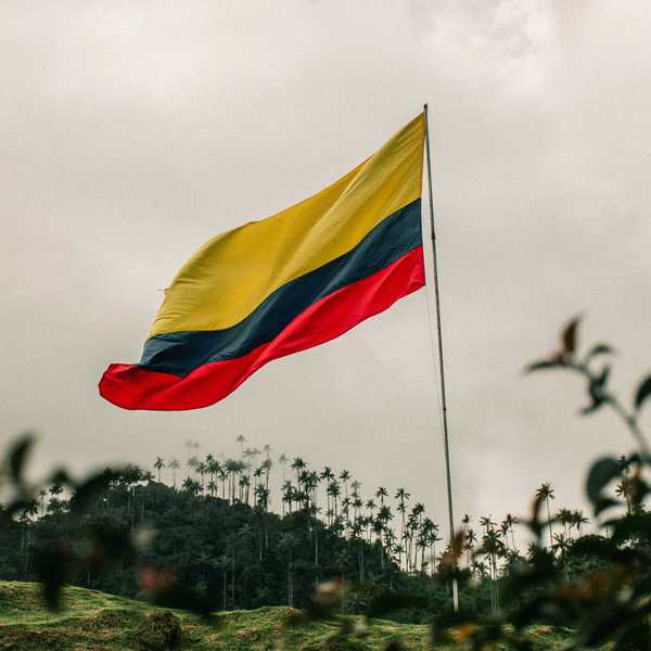 a Colombian flag flying in the wind on top of a hill with a mountain and wax palms visible in background.
