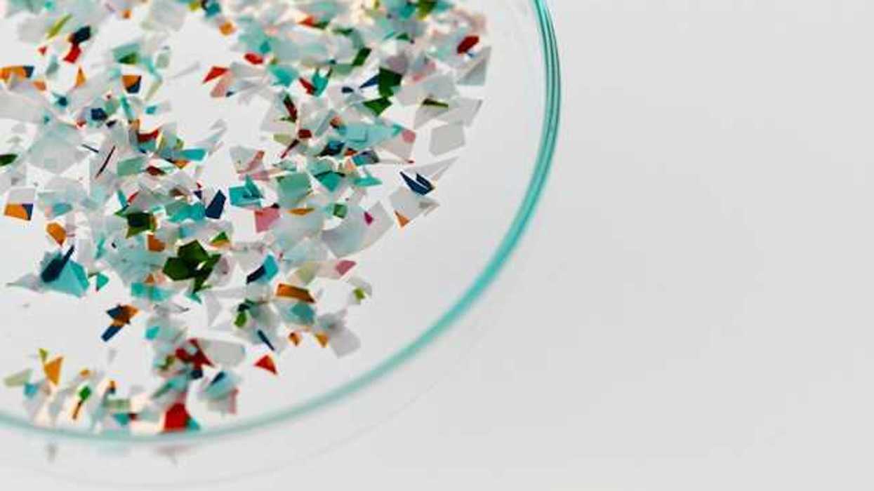 A container with small bits of plastic in it