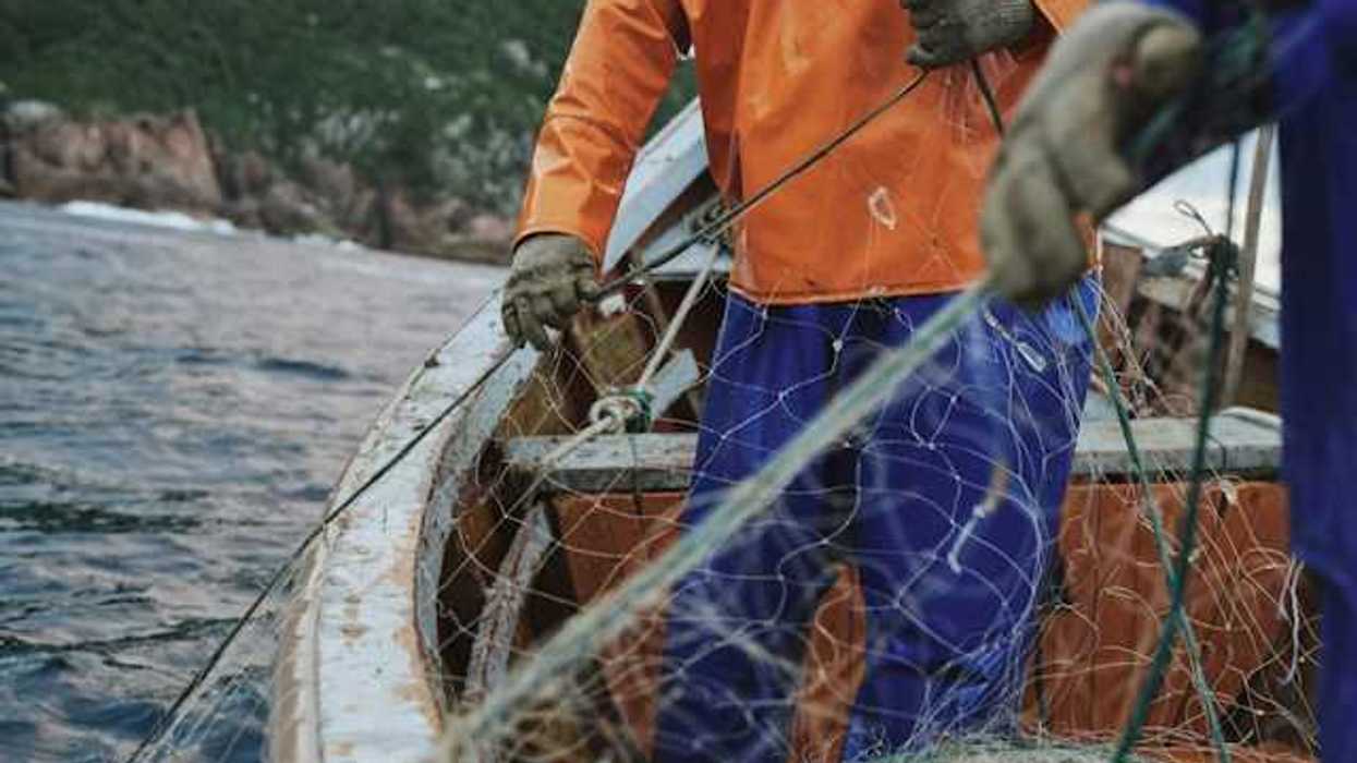 A couple of fishermen bring net into a boat