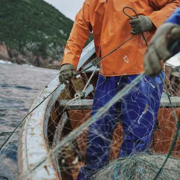 A couple of fishermen bring net into a boat