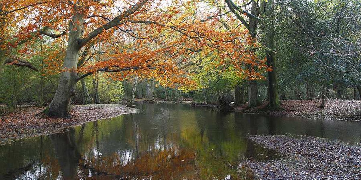 More rain is falling on New Hampshire. Why do we still hurt for water?