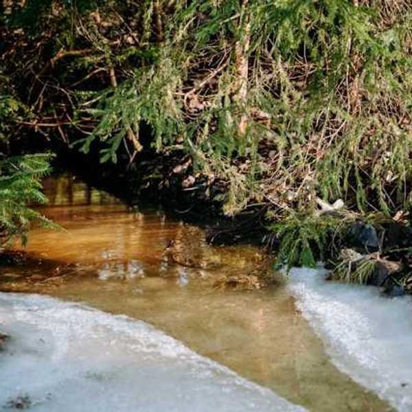 A creek with dirty water flowing through it