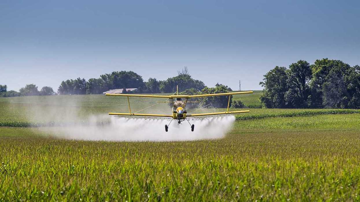 A crop duster applies chemicals to a field of vegetation.