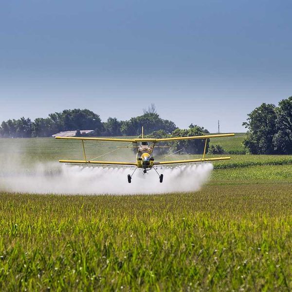 Groups cite potential “devastation” ahead of looming US Supreme Court pesticide case