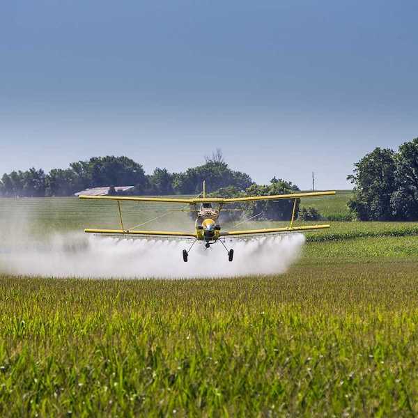A crop duster applies chemicals to a field of vegetation.