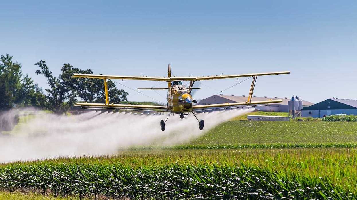 A crop duster sprays chemicals on a field of vegetation.