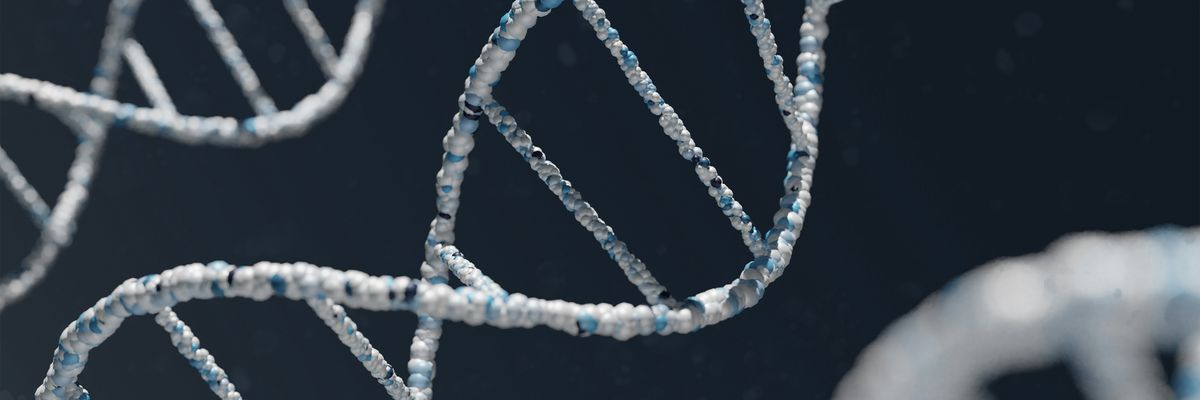 A DNA double helix model.